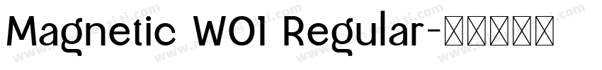 Magnetic W01 Regular字体转换